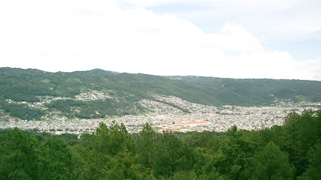deforestación en san cristobal de las casas